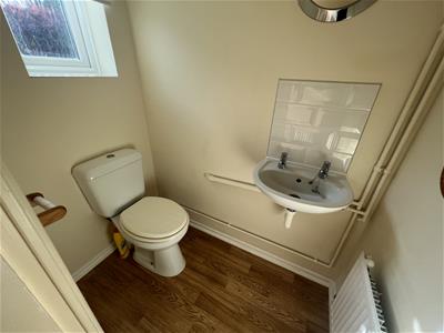 Picture 13